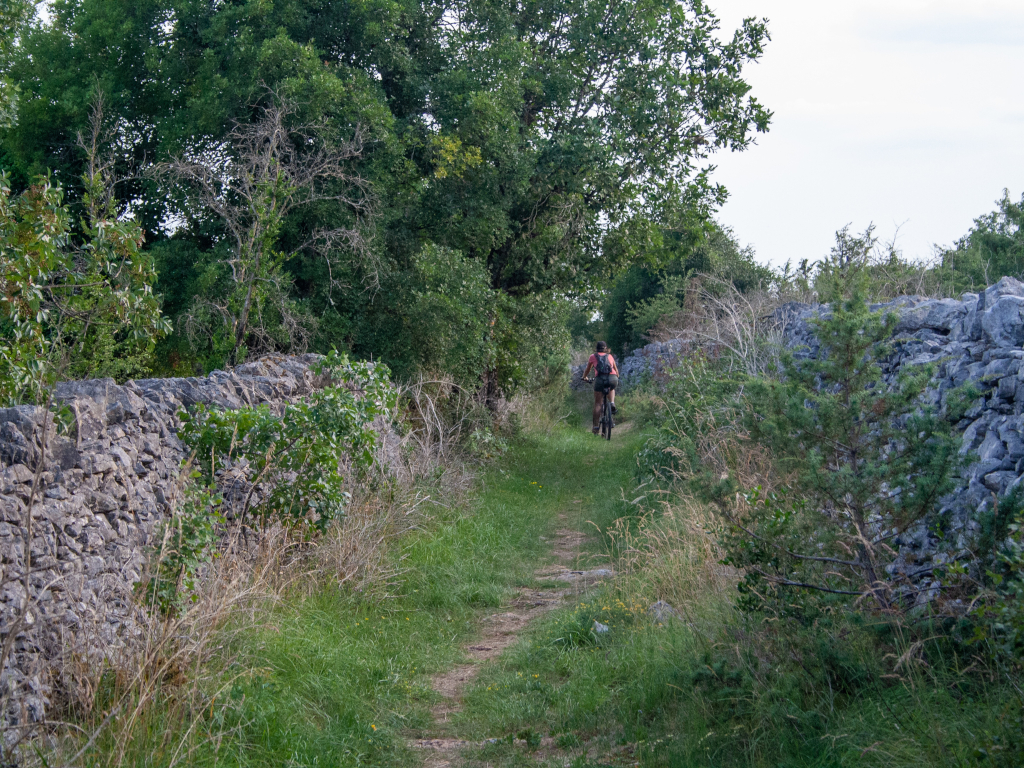 Sur le Causse à vélo