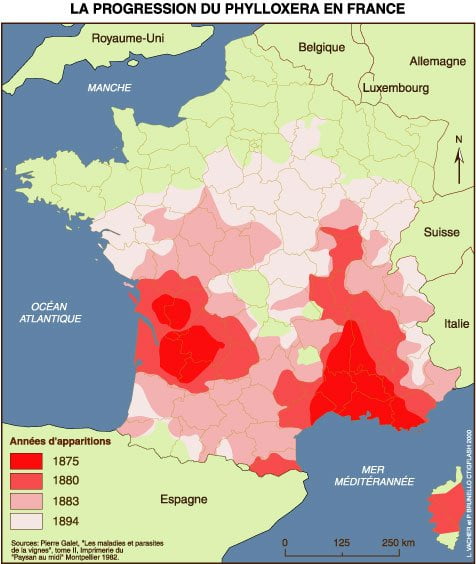 Carte de la progression du phylloxéra en France