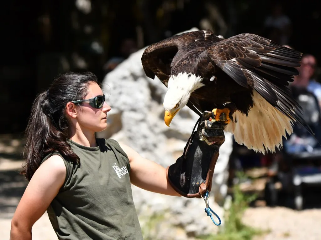 Rocher des Aigles
