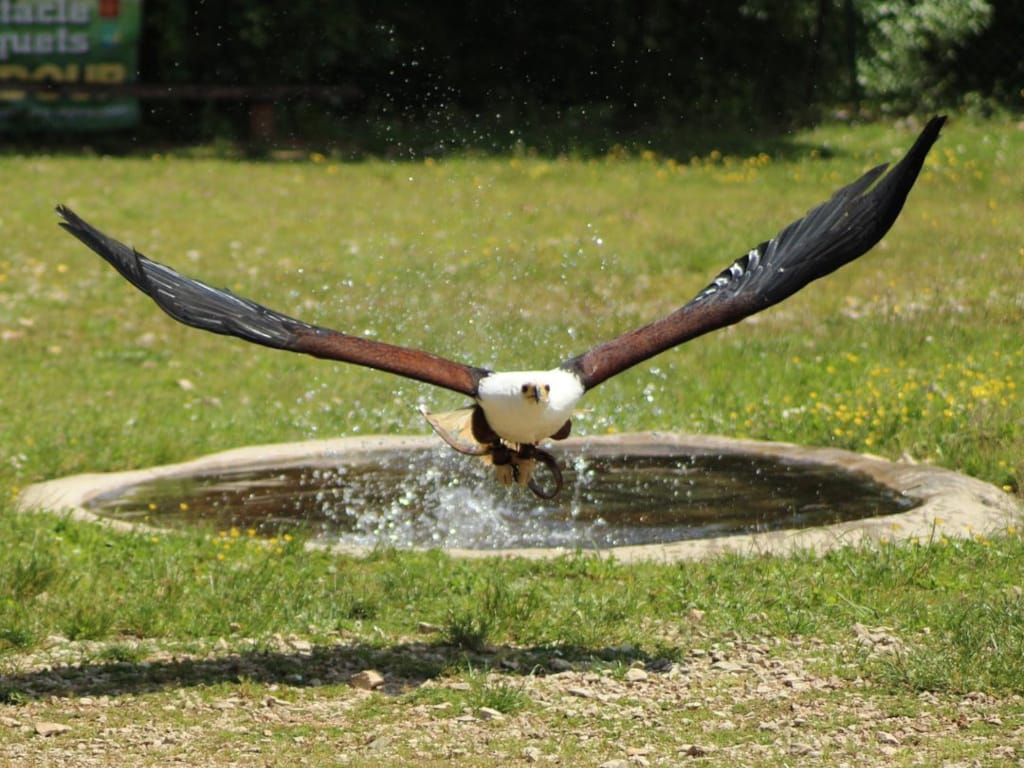 Le Rocher des Aigles