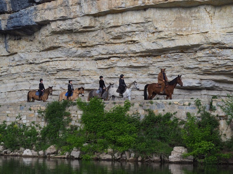 Cheval Rando Équitation