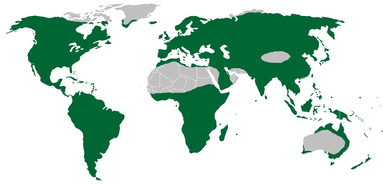 Aire de répartition des orchidées dans le monde