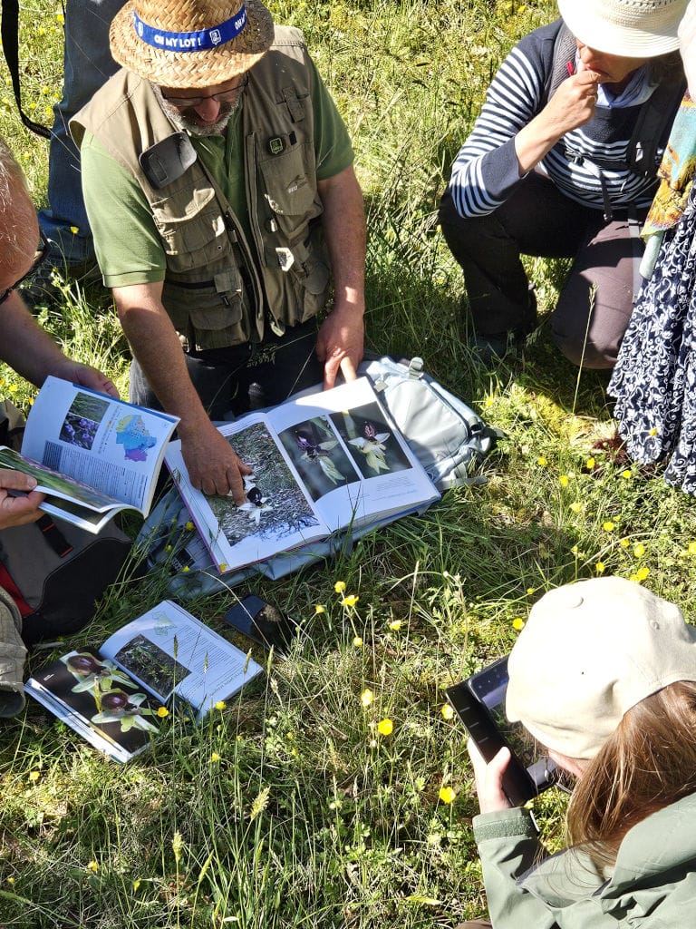 Gestionnaire ENS du Lot identifiant une orchidée sur le causse près de Rocamadour