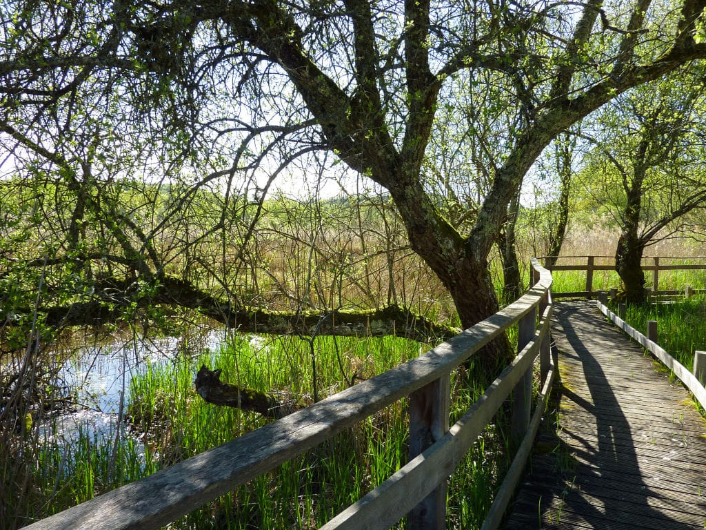 L'ENS du marais de Bonnefont