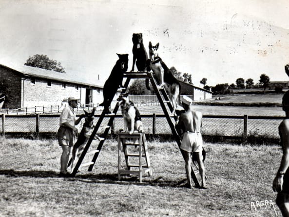 Image historique du CNICG
