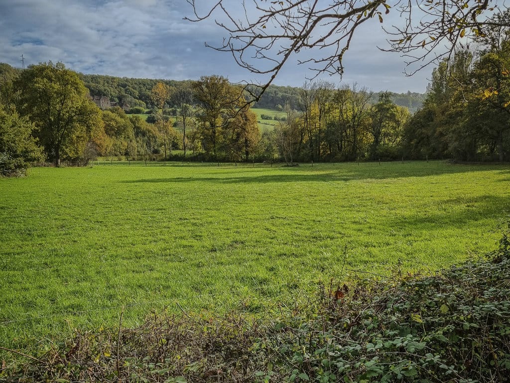 Paysager bocager du Limargue