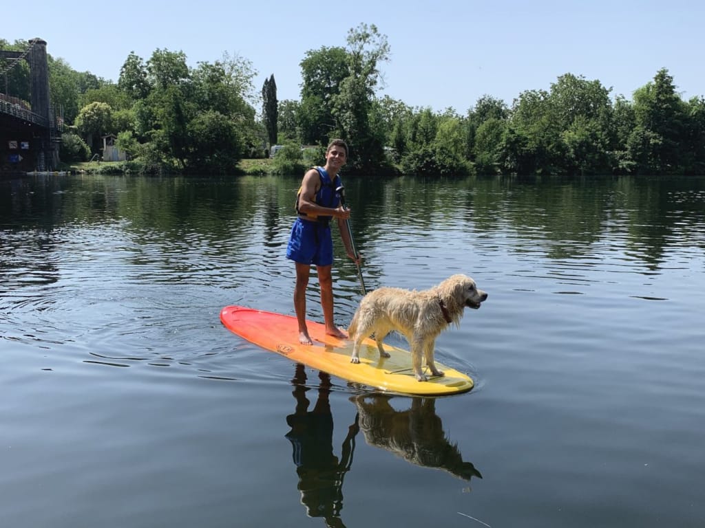 Stand up paddle avec un chien