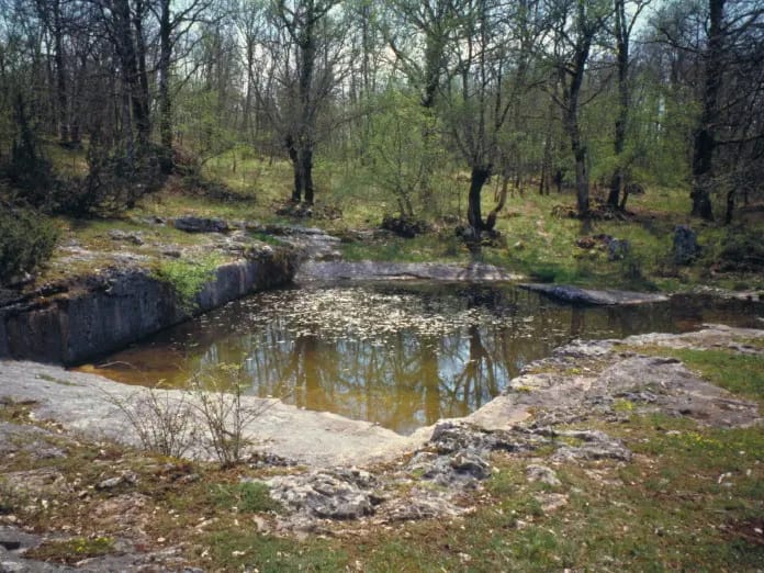 Lac de Saint Namphaise