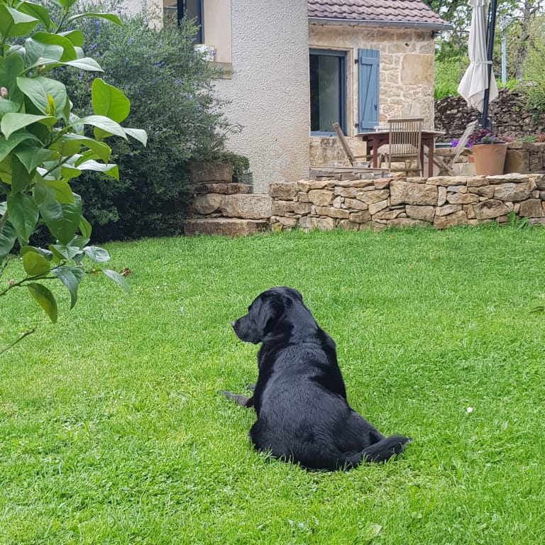 Le Pech de Vigne, gîte dog-friendly