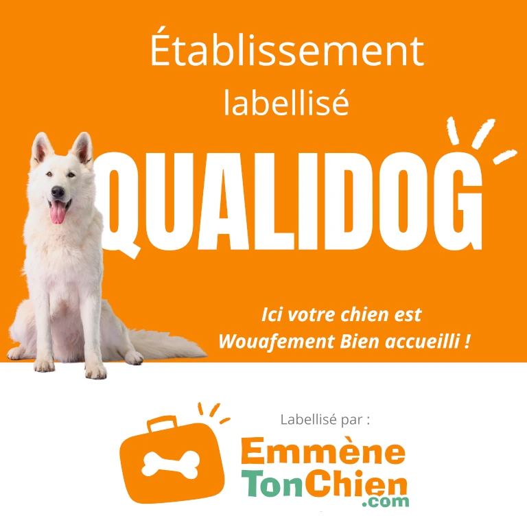 Le Pech de Vigne est un établissement labellisé Qualidog 3 truffes.