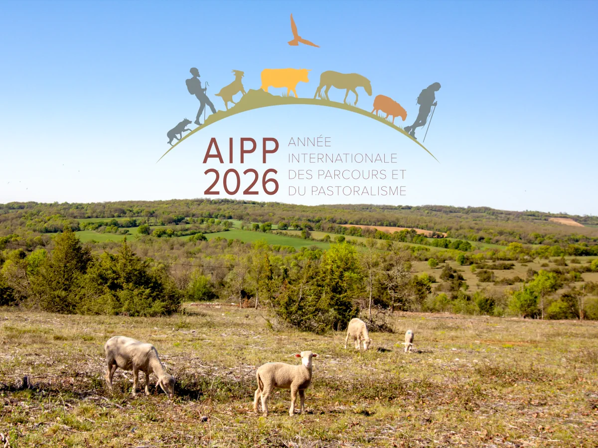 2026, année du pastoralisme dans le Lot : vivez l’expérience au Pech de Vigne