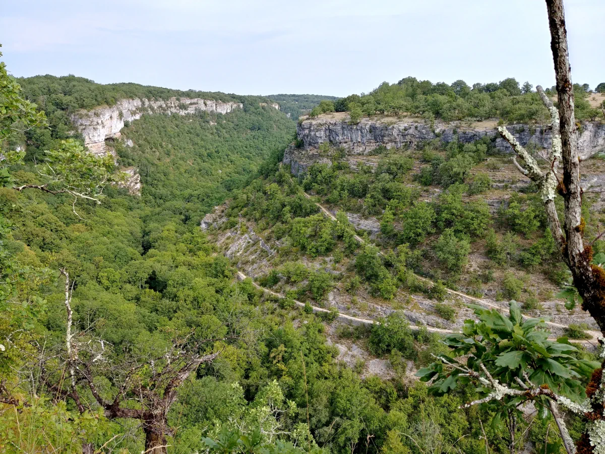 Paysage de forêt dans le Lot (vallée de l'Alzou)