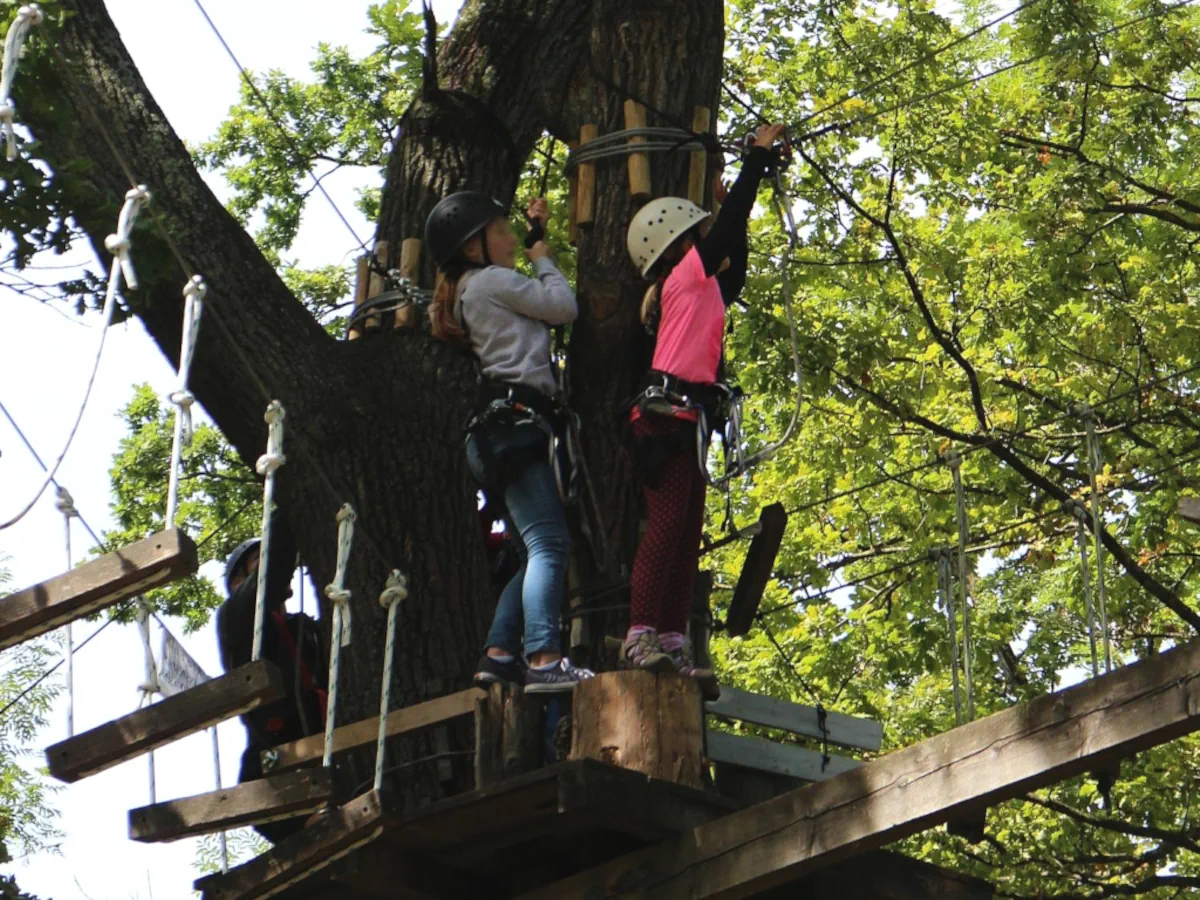 Le Bois des Elfes