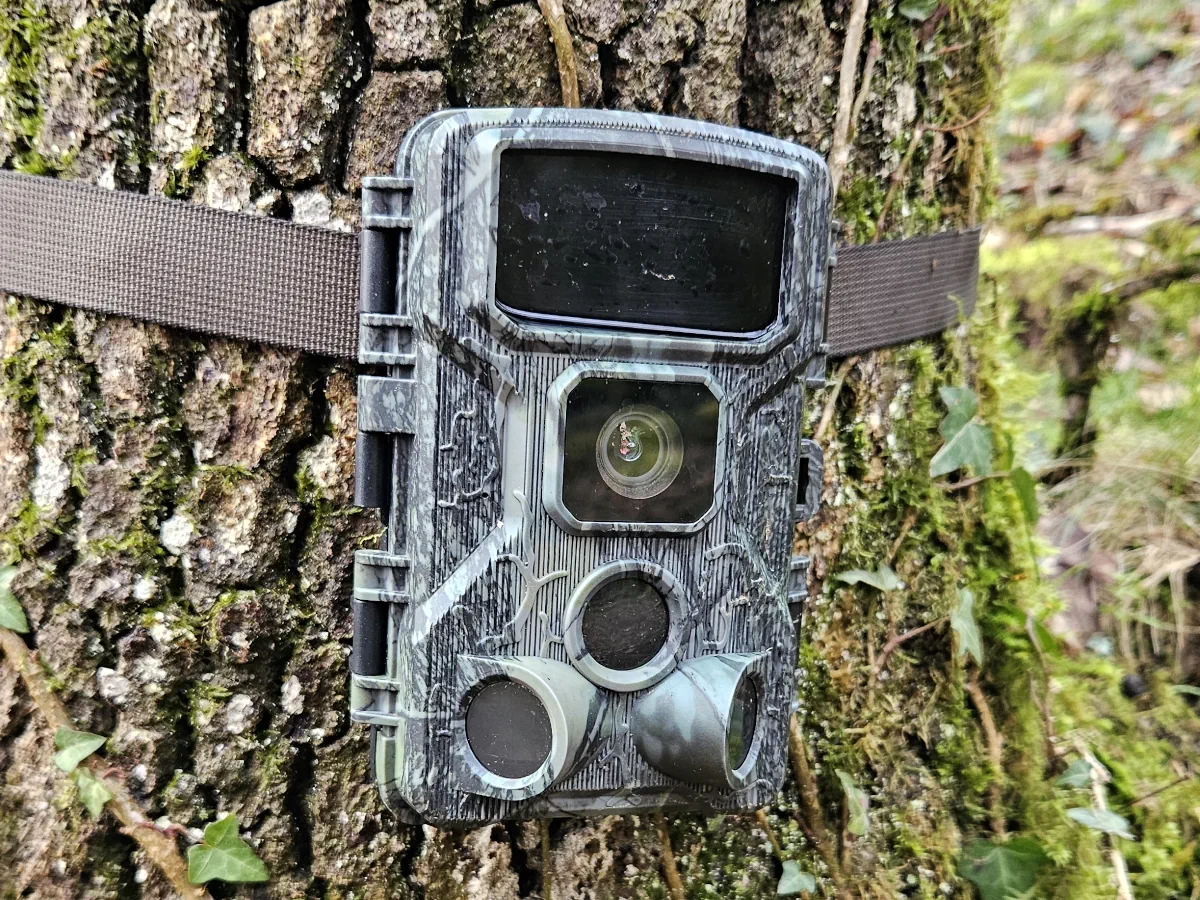 Le piège photo installé dans le bois du Pech de Vigne.