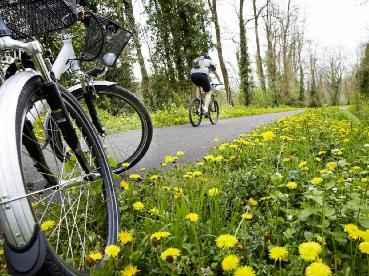 Des cyclotouristes sur les routes du Lot