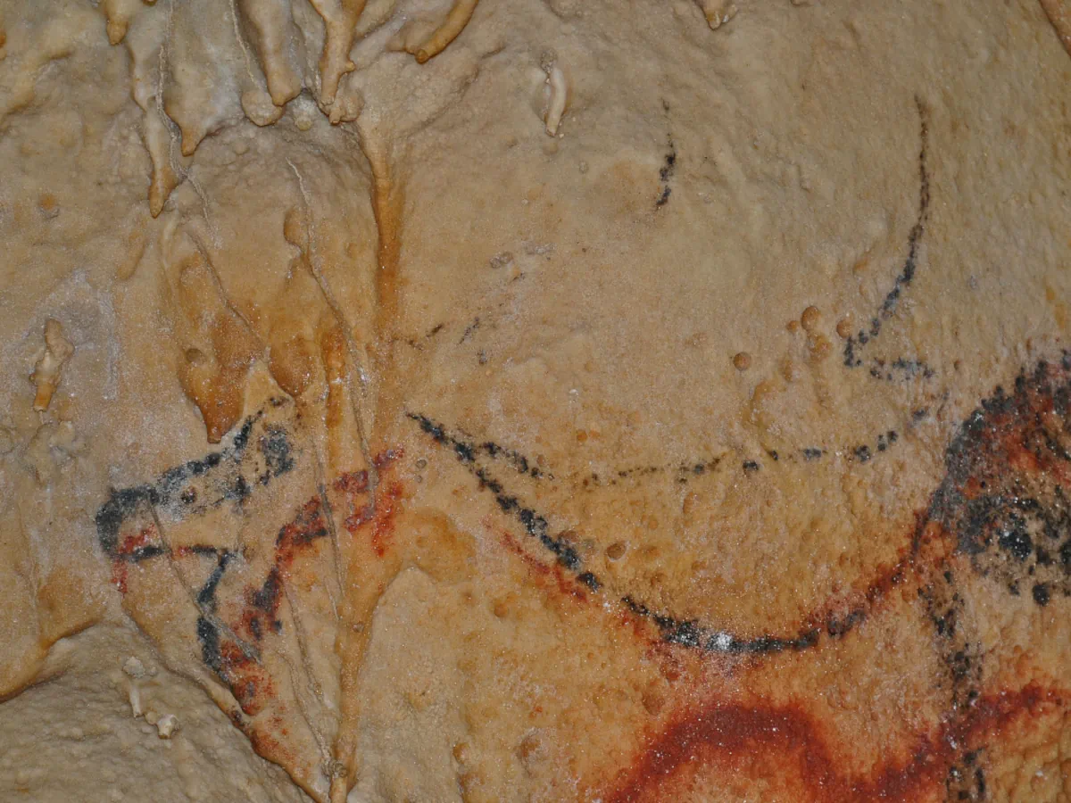 les grottes de Cougnac - Les peintures préhistoriques de mégacéros