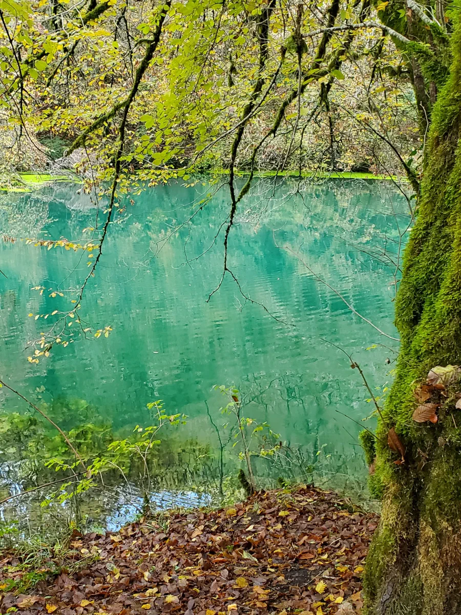 Les eaux couleur turquoise de la résurgence de Saint-Sauveur © Le Pech de Vigne